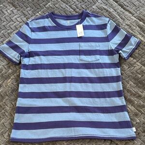 GAP Kids Striped Tee in Blue and Navy